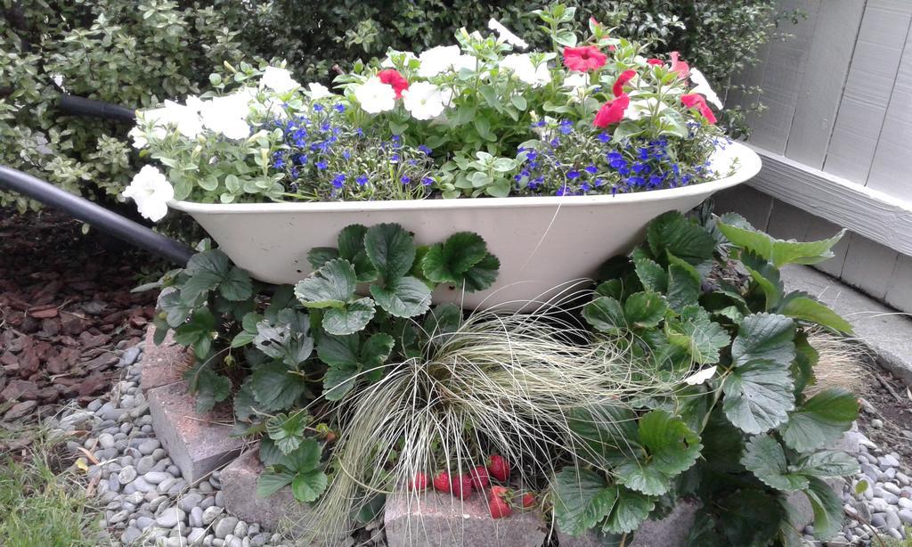 Coeden Cottage Blenheim Esterno foto