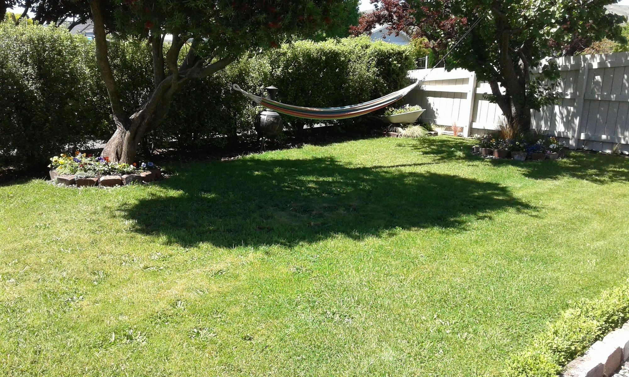 Coeden Cottage Blenheim Esterno foto