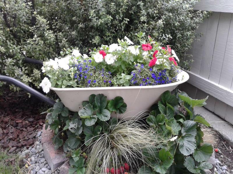 Coeden Cottage Blenheim Esterno foto